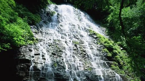 高端数字化先进
